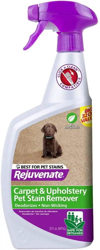 Qhov Zoo Tshaj Plaws Hypoallergenic Carpet Spot Cleaner: Rejuvenate Stain Remover