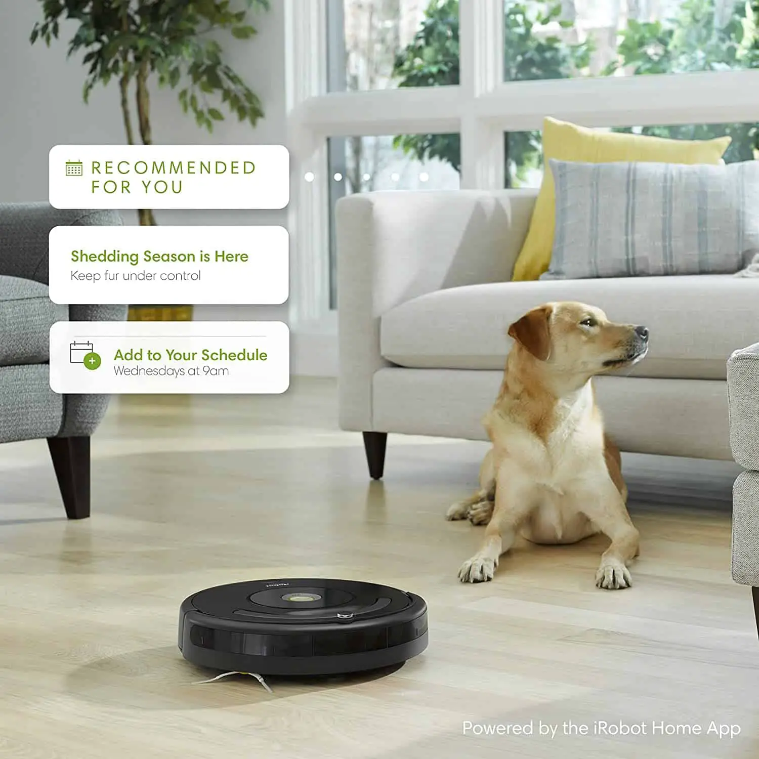 Best Robot Vacuum for pet hair: iRobot Roomba 675