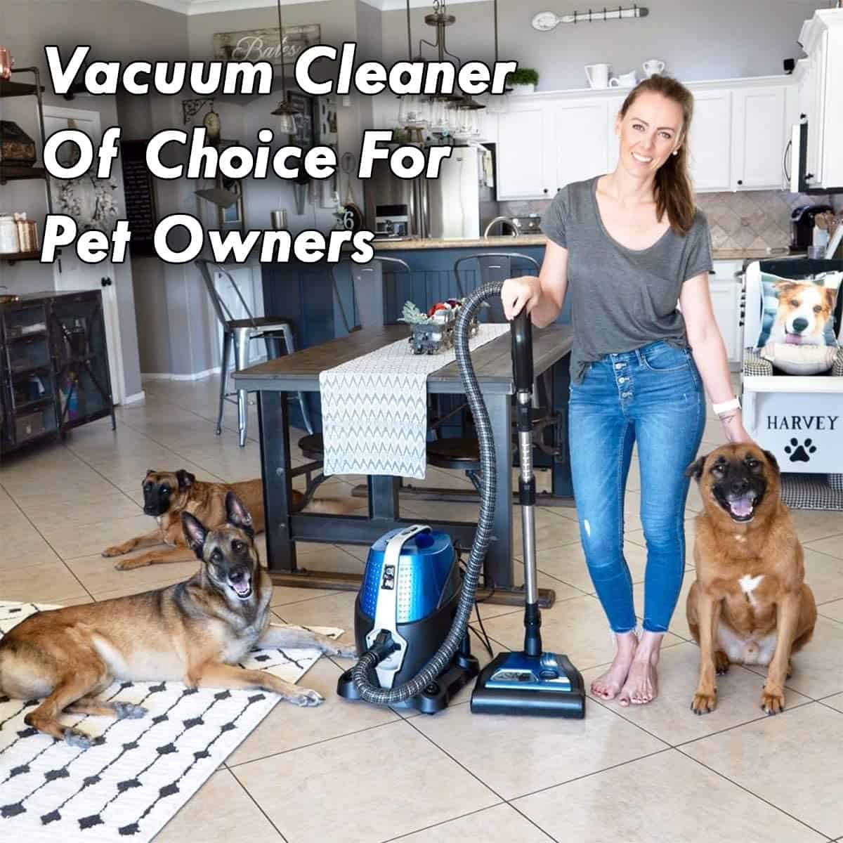 Best Water Filtration Vacuum For Pets: Sirena Pet Pro