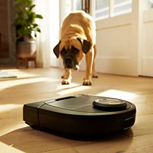 Best robot vacuum for pet hair (dogs, cats): Neato Botvac D5