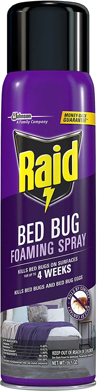 Raid Bed Bug vahutav pihusti, kasutamiseks siseruumides, ei määri