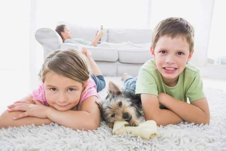 kids-and-dog-droge-tapijt-reiniging