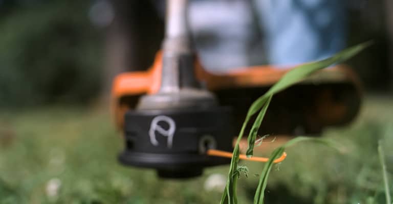 Best lightweight weed eater buyers guide what to know before you buy?