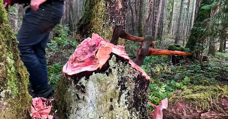 Felling-Ax-vs-Chopping-Axe