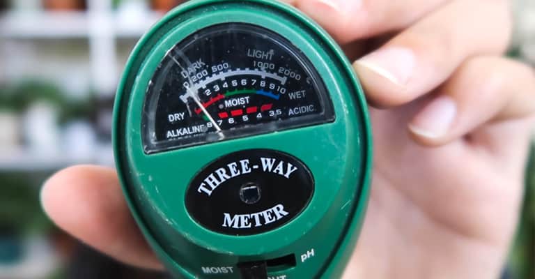 Meter Lembapan Tanah Terbaik | Sensor Penyiraman anda apa yang perlu diketahui sebelum anda membeli