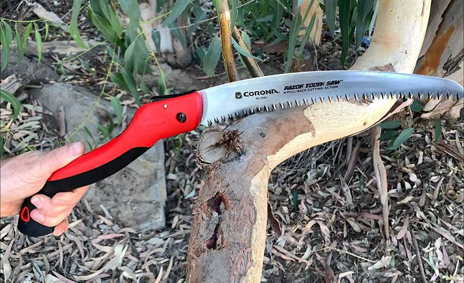 Best overall handheld, curved pruning saw for performance and price- Corona Tools 10-Inch RazorTOOTH in the garden
