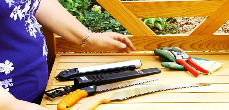 Best pruning saw | Top 6 for easy garden maintenance reviewed