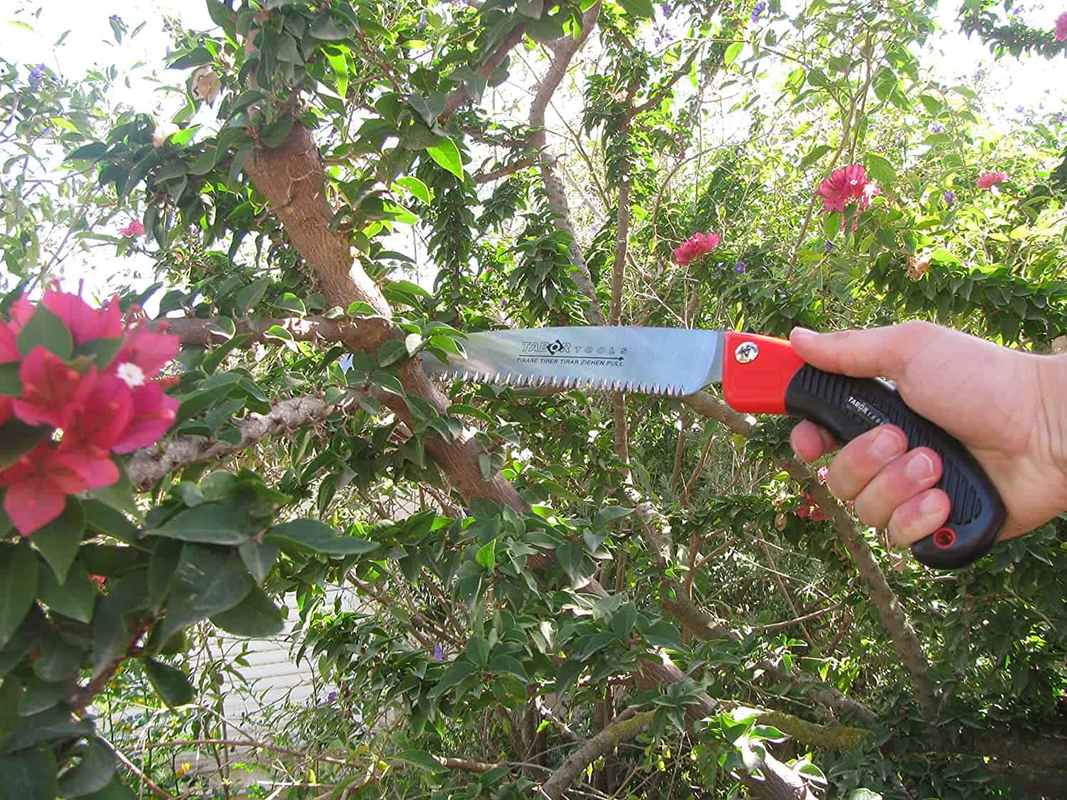 Best straight blade pruning saw for bush maintenance- TABOR TOOLS TTS32A 10 inch Saw with Sheath being used