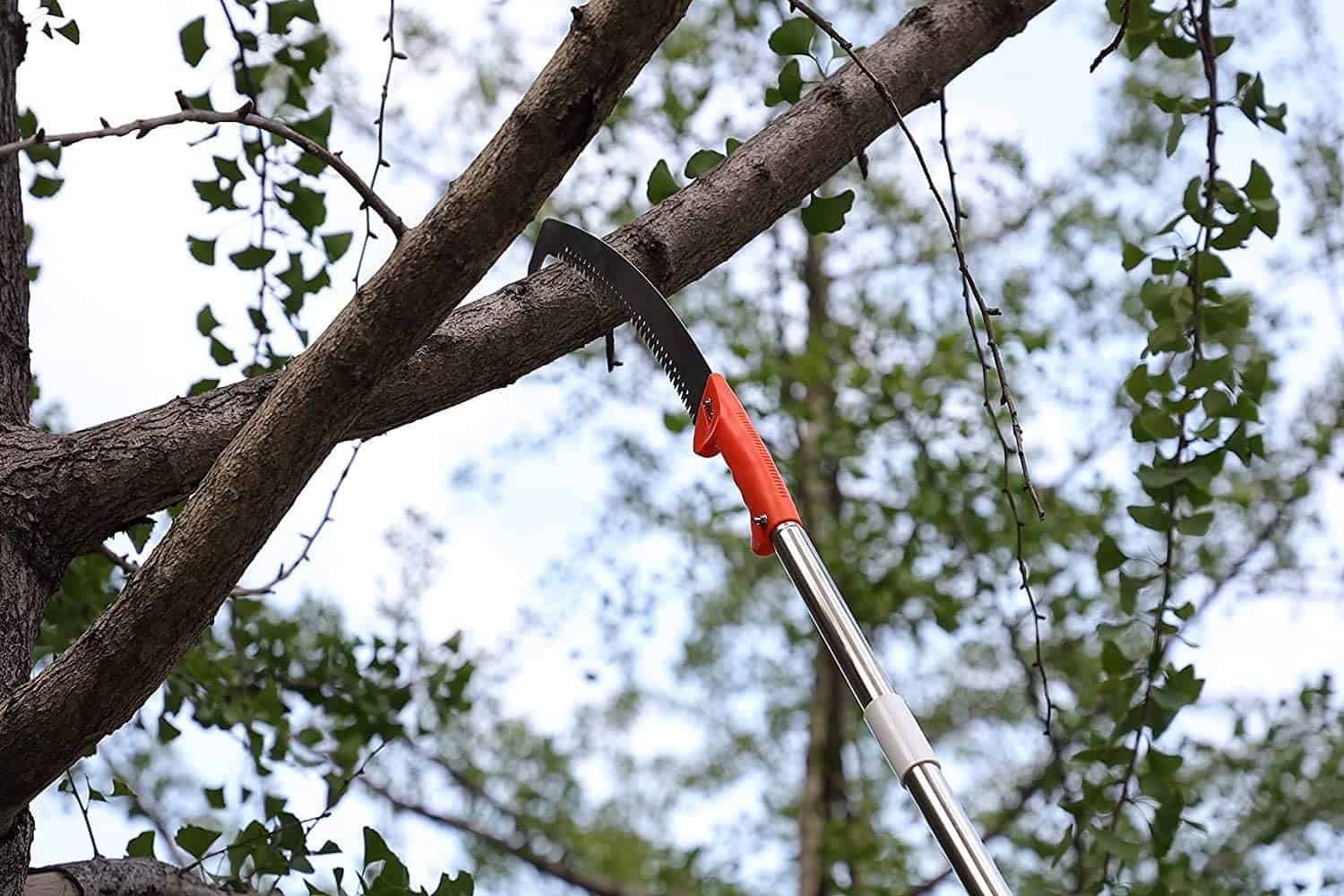Most versatile pruning saw- HOSKO 10FT Pole Saw in use