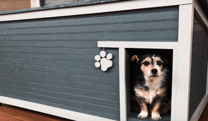 An-Elegant-Dog-House
