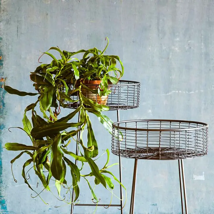 I-DIY-Plant-Stand-Idea-14