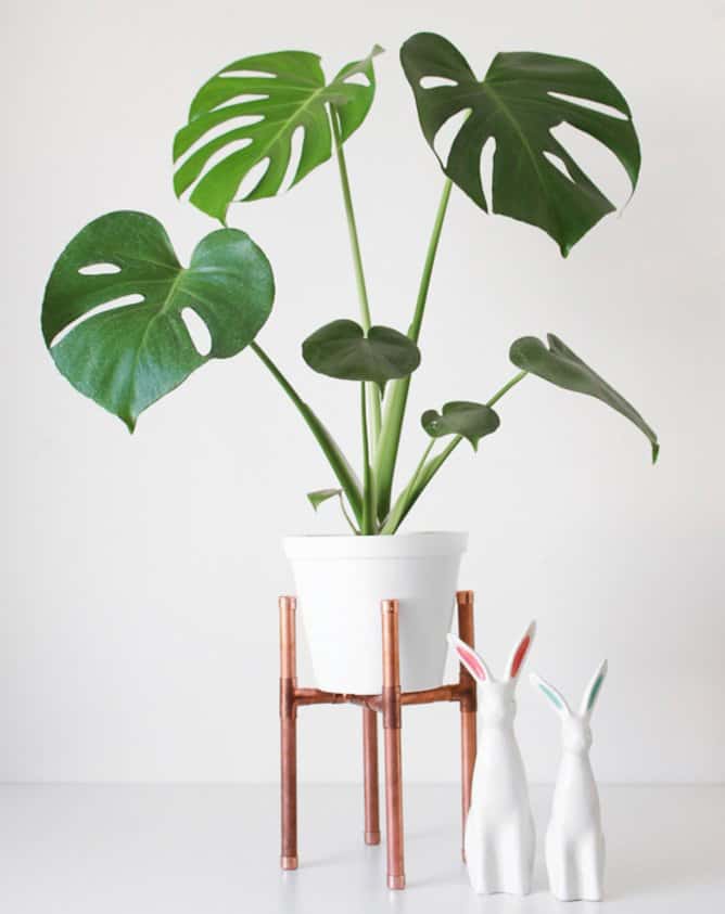 I-DIY-Plant-Stand-Idea-15