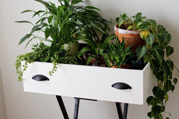 DIY-Plant-Stand-Idee-7