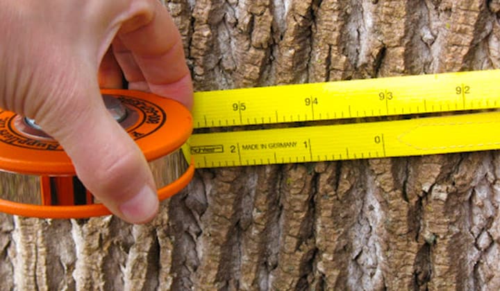 How-To-Measure-Diameter-With-A-Tape-Measure