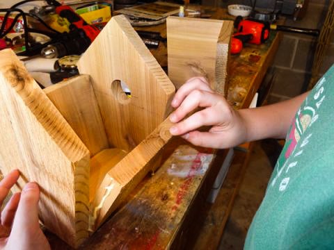 How-to-Make-a-Birdhouse-Out-of-Wood-4