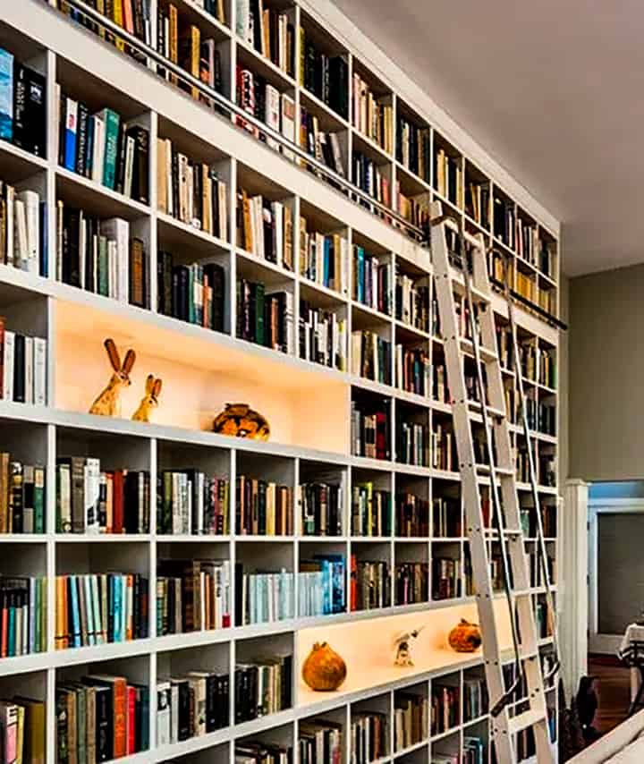 The Bookshelf With Own Lighting