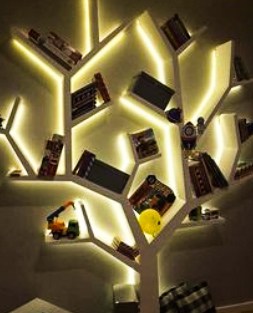 backlit osisi shelf