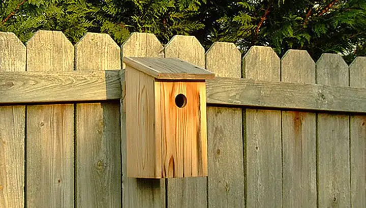 DIY-birdhouse-plans-1