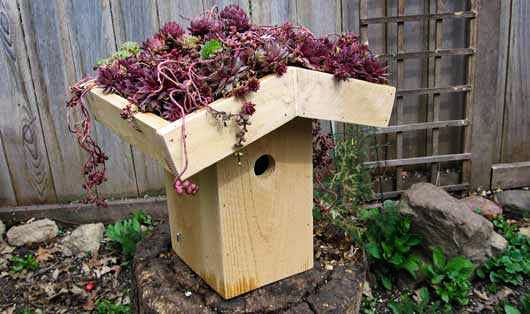 i-diy-birdhouse-plans-13