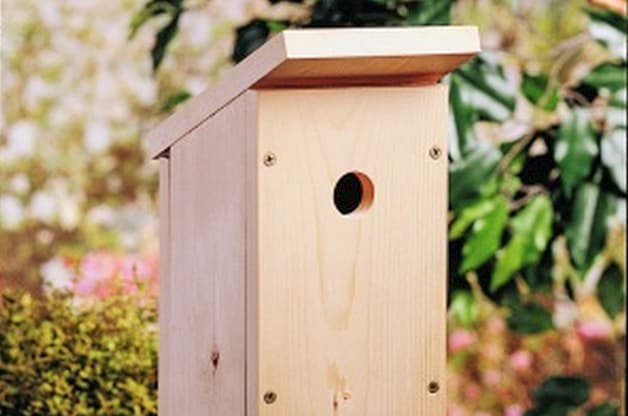 DIY-birdhouse-plans-2