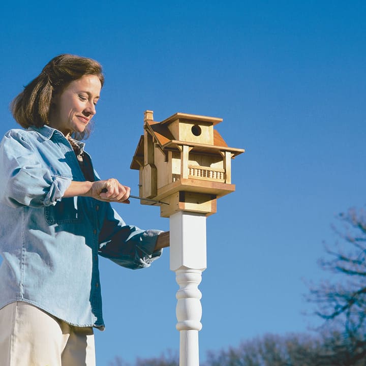 DIY-birdhouse-plans-3