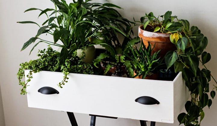 diy-plant-stand-ideeën