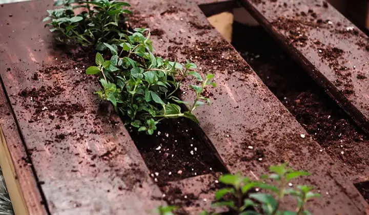 how-to-make-a-plant-stand-out-of-pallets-1