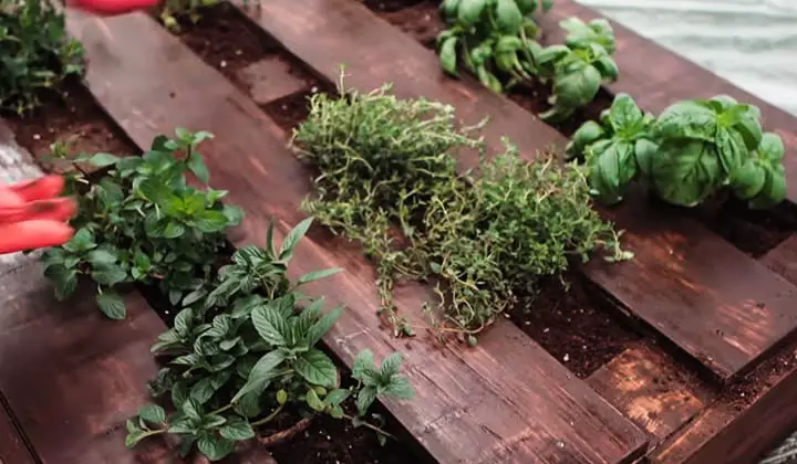 how-to-make-a-plant-stand-out-of-pallets-2