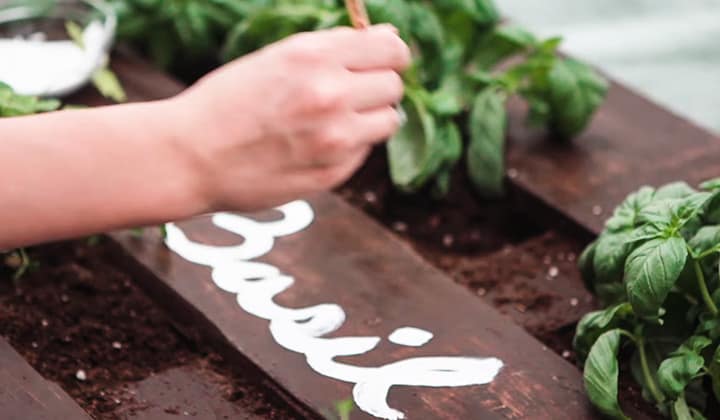 how-to-make-a-plant-stand-out-of-pallets-4