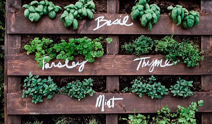 how-to-make-a-plant-stand-out-of-pallets