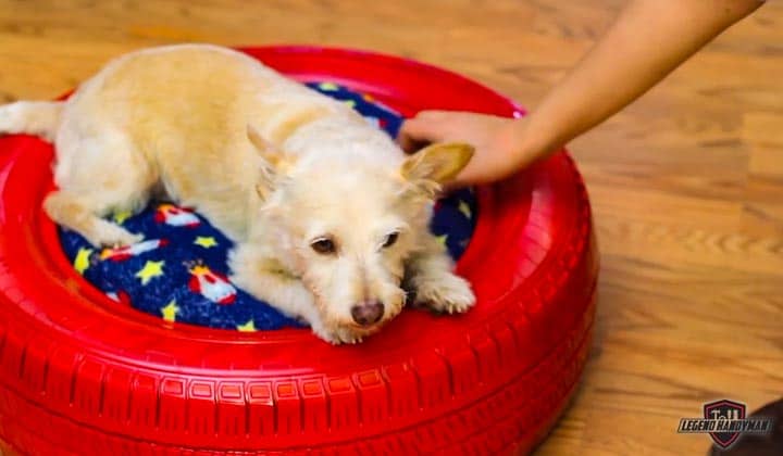 DIY-dog-bed-ideas-5-