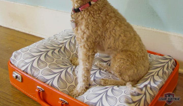 DIY-dog-bed-ideas8-