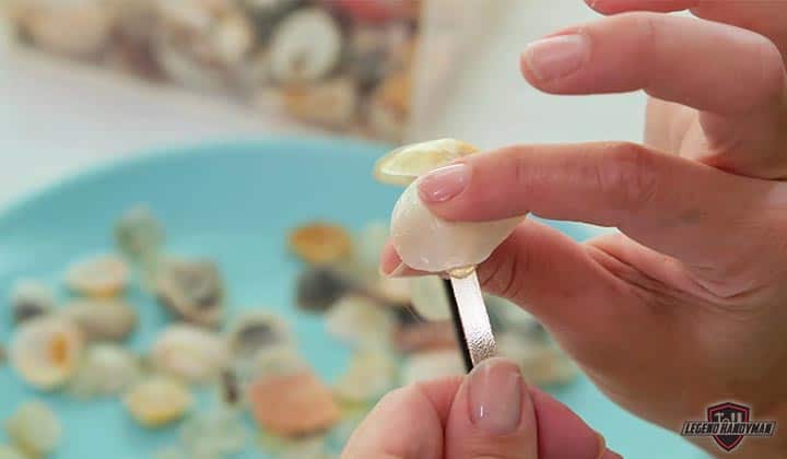 Sea-shells-crafting