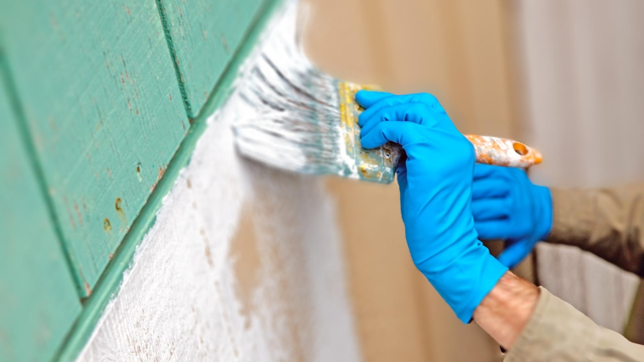 Best primer for painting wood & walls a complete buying guide