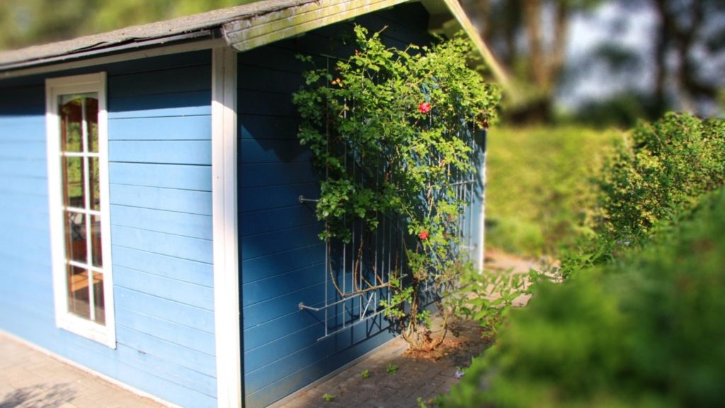How to maintain a wooden shed