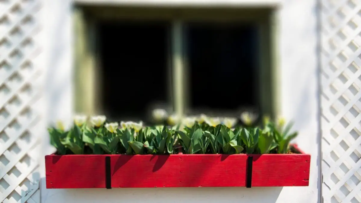 How to paint flower planter boxes