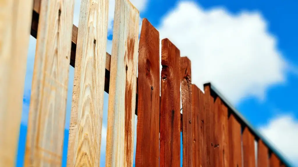 How to paint your fence