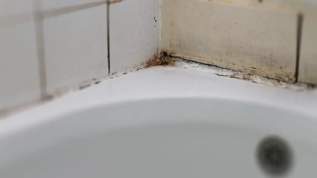 Hoe schimmel in de badkamer te verwijderen?