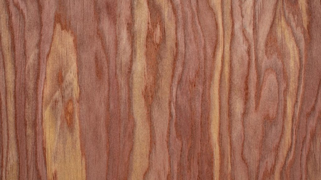 Red cedar wood