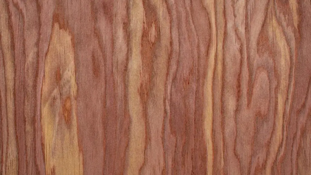 Kayu cedar beureum