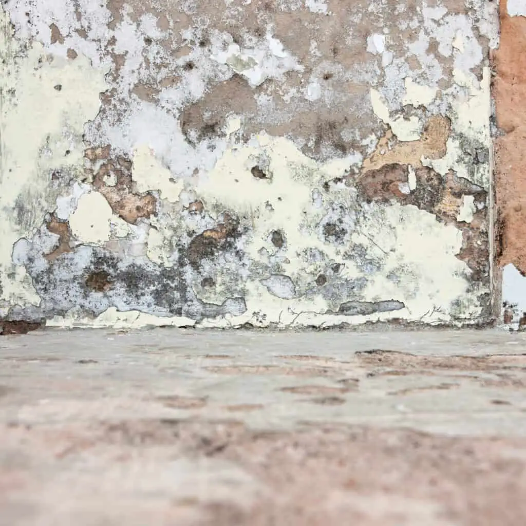 What is structural dampness