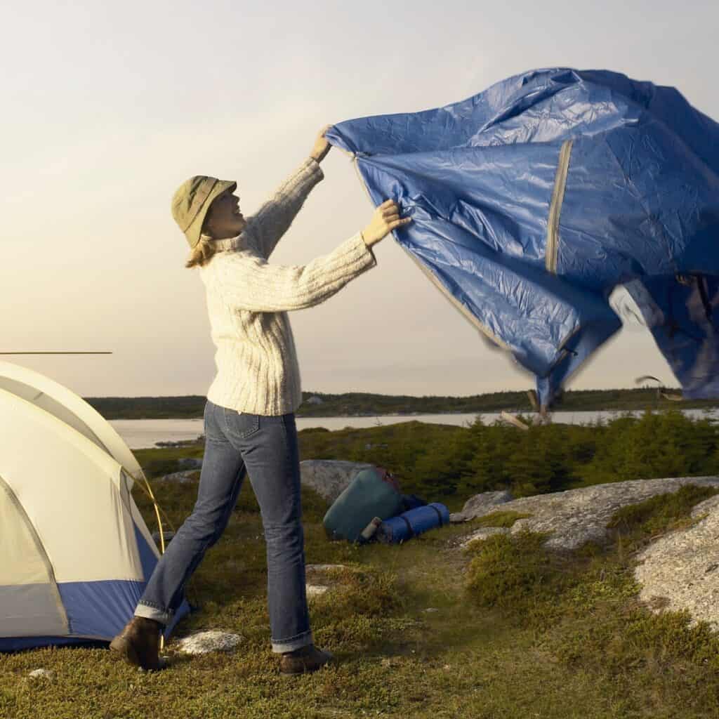 Mikä on tarp