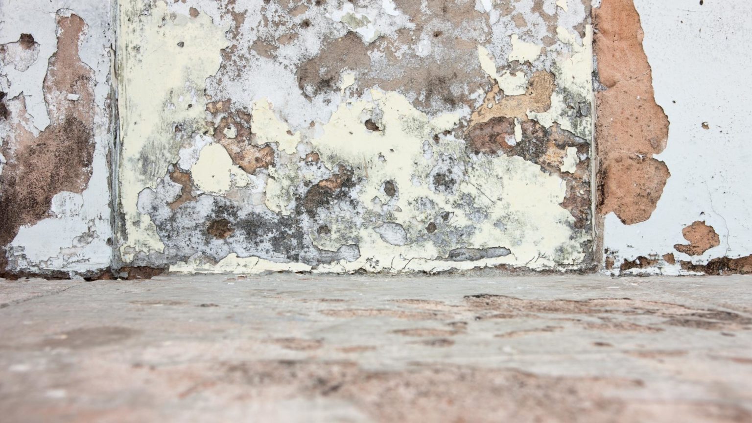 How To Treat Rising Damp On A Wall   Rising Damp 1536x864 